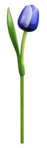 Tulip on a stem  blue white