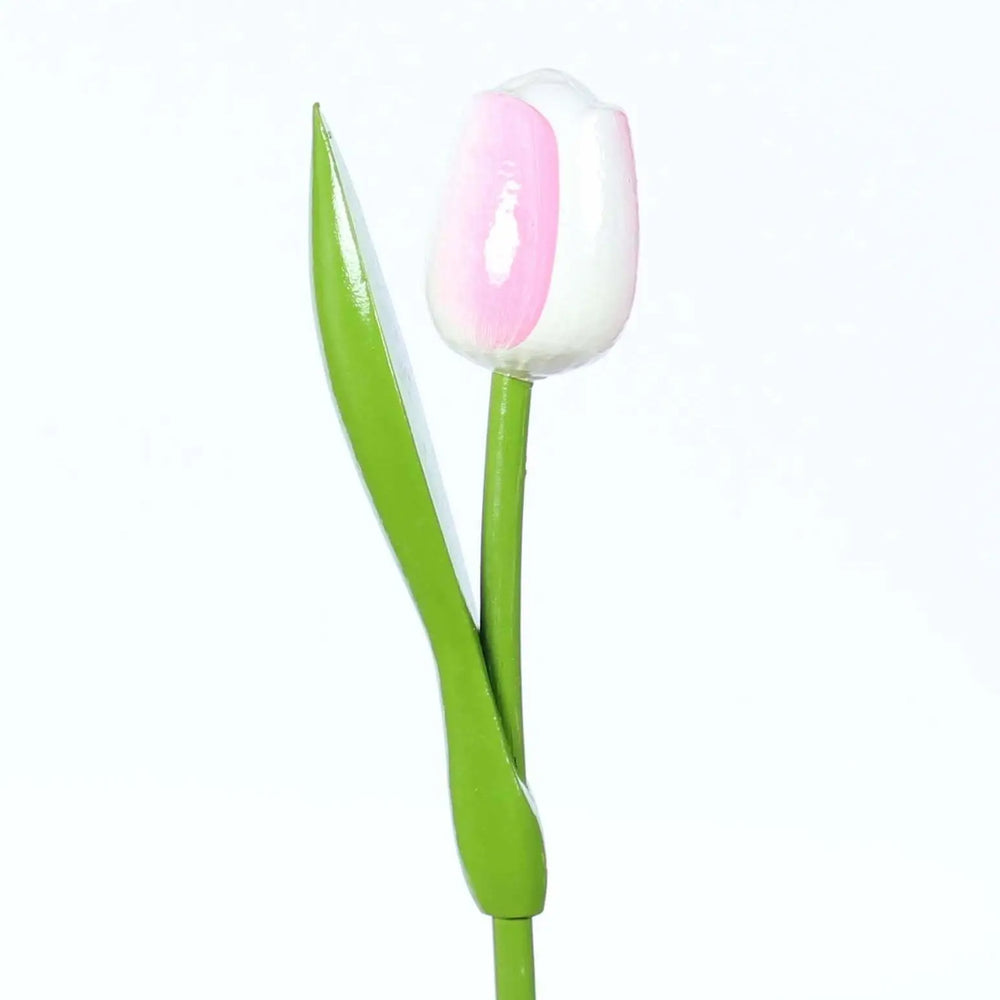 Tulip on a stem  white pink